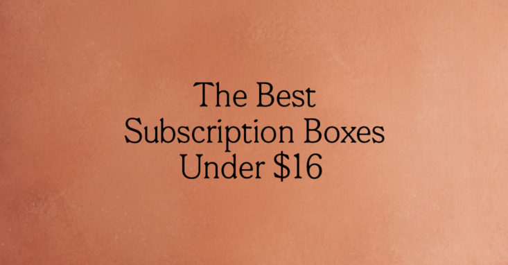 The Best Subscription Boxes Under $16