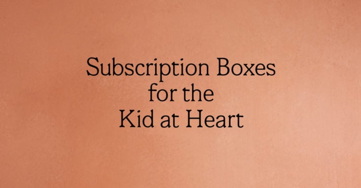 Subscription Boxes for the Kid at Heart