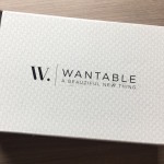 Wantable Accessories Subscription Box Review – February 2015