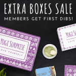 Yogi Surprise Past Boxes Sale!
