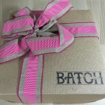 Batch Women’s Subscription Discovery Box Review + Coupon – Feb 2016