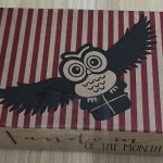 Fandom of the Month Subscription Box Review – February 2016