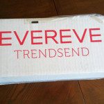 Trendsend by Evereve Subscription Box Review – April 2016