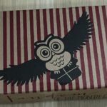 Fandom of the Month Subscription Box Review – April 2016