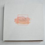 The Planner Addict Sticker Subscription Box Review- Jun 2016