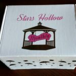 Stars Hollow Monthly Subscription Box Review – June 2016