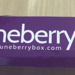 Juneberry Subscription Box Review – July 2016