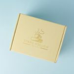 FYI – Stars Hollow Monthly Box April 2017 Shipping Delay