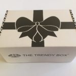 The Trendy Box Subscription Review + Coupon– December 2016