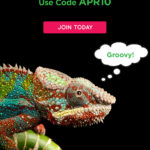 Surprise Ride Coupon Code – 40% Off Your First Box!