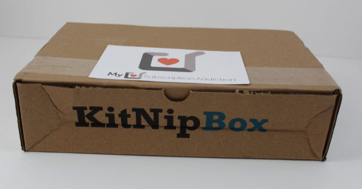 KitNipBox October 2017 Cat Subscription Box