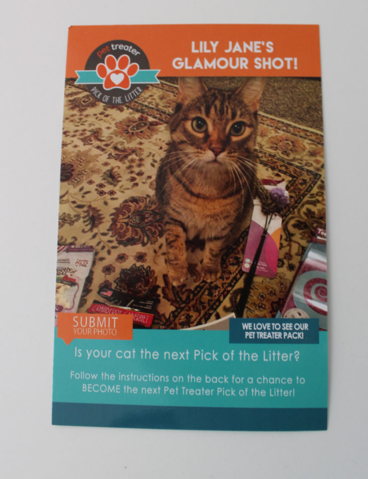 Pet Treater Cat October 2017 Booklet Back