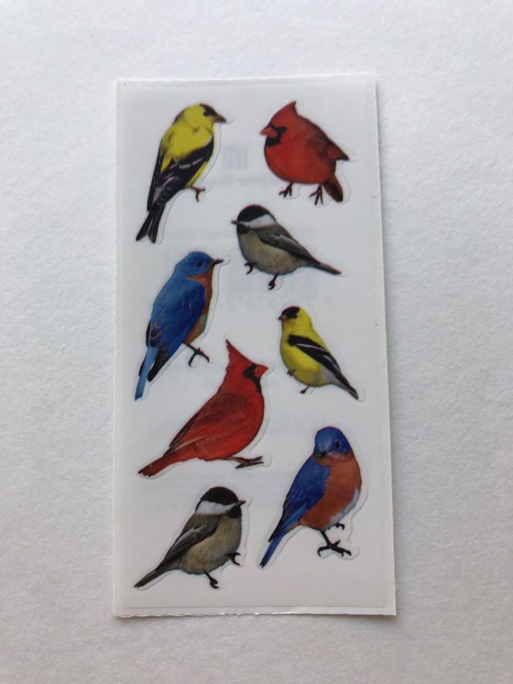 Pipsticks October 2017 Birds