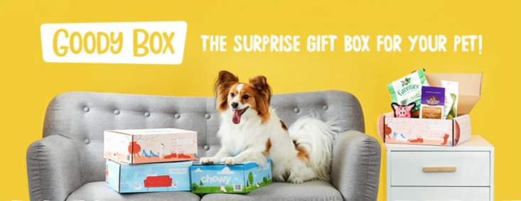 chewy dog gift box