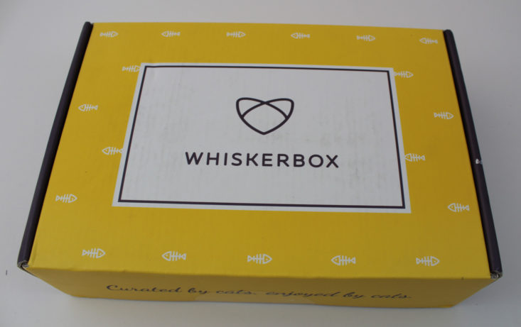 Whiskerbox October 2017