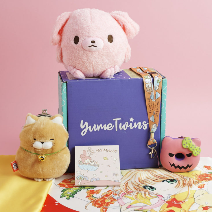 stuffed animal monthly box