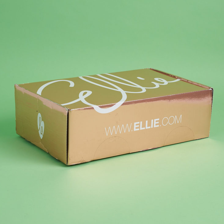 ellie box for november 2017 side view