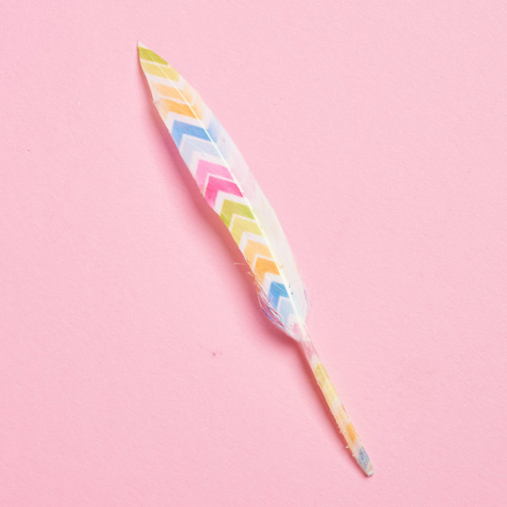feather like pen in gen y box