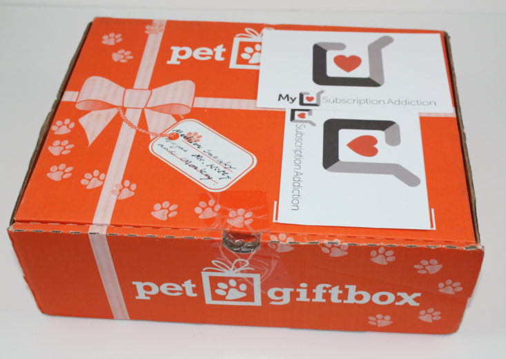 Pet Gift Box Cat October 2017 Box