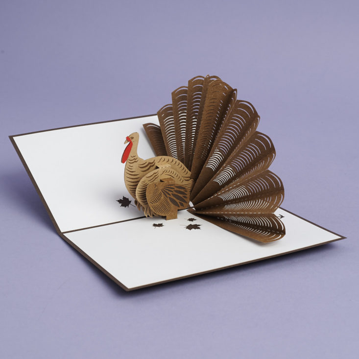 inside of laser cut turkey greeting card with pop up turkey