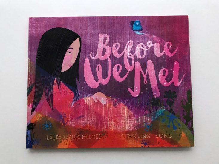 cover of a children's book called before we met