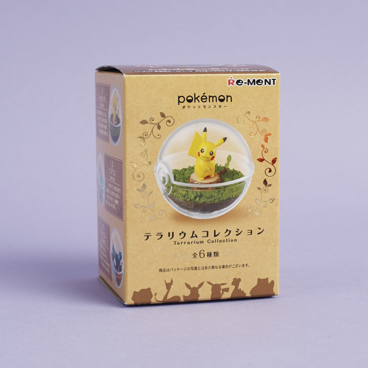 Pikachu Pokemon Terrarium in box
