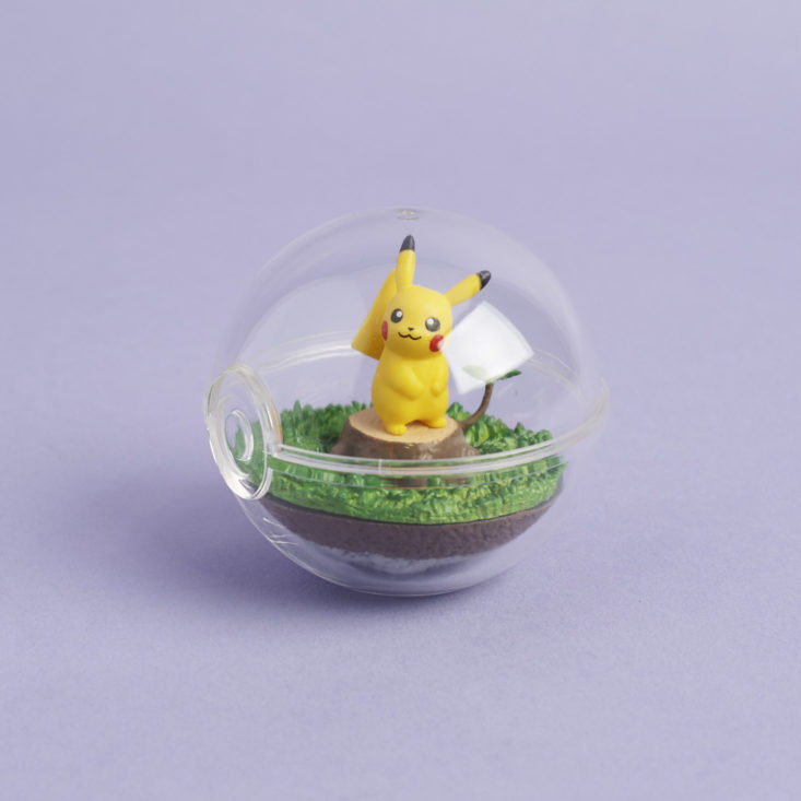 Pikachu Pokemon Terrarium