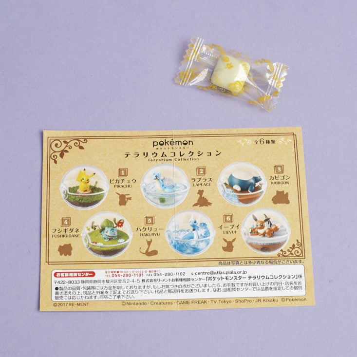 candy and info sheet from Pikachu Pokemon Terrarium