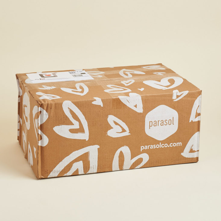 Parasol Co Diapers shipping box