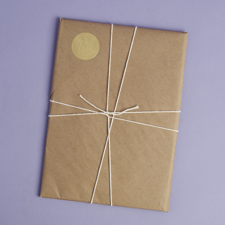 another kraft paper and twine-wrapped package