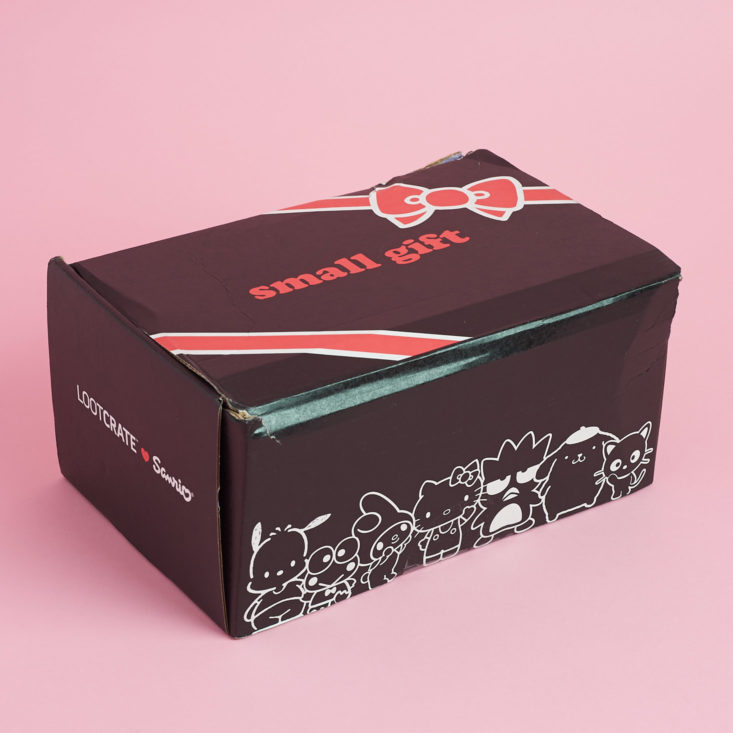 Sanrio Small Gift Box