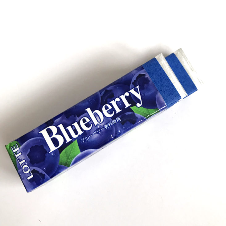 Skoshbox December 2017 - Blueberry Gum 2