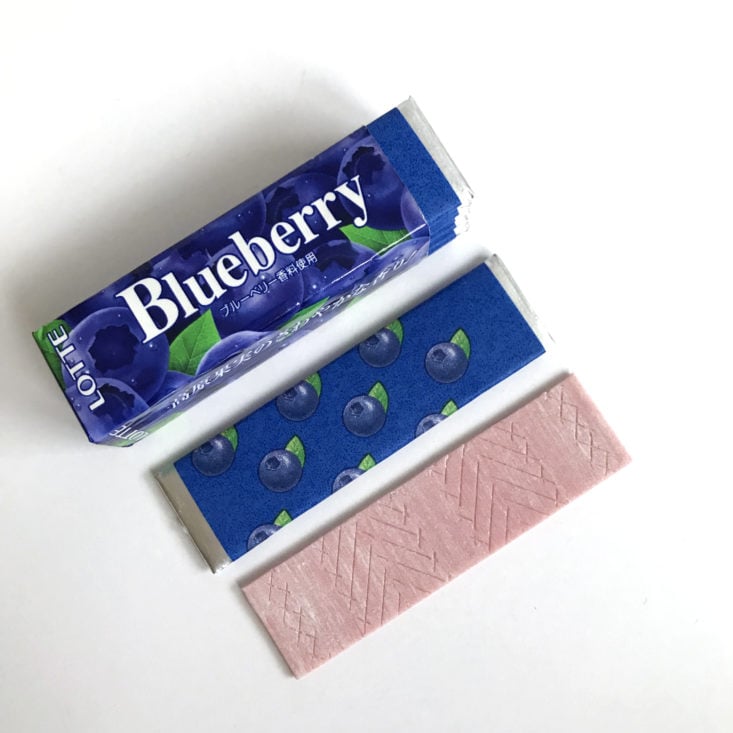 Skoshbox December 2017 - Blueberry Gum 3