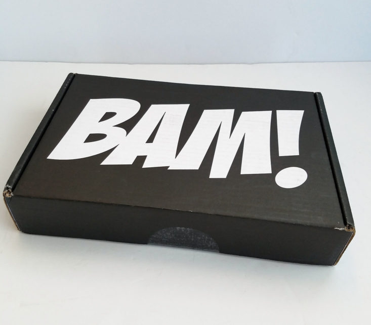 BAM! Horror Subscription Box November 2017 box closed