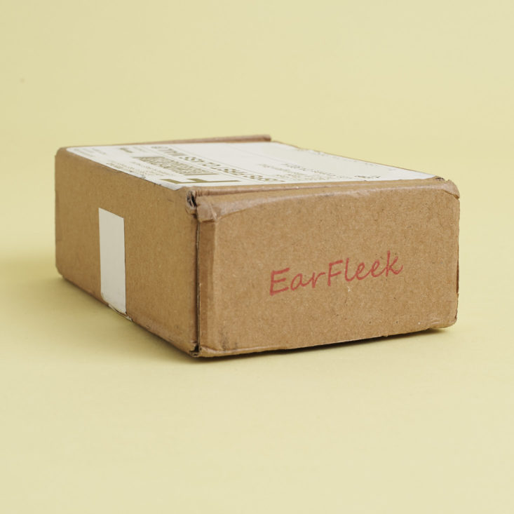 earfleek box