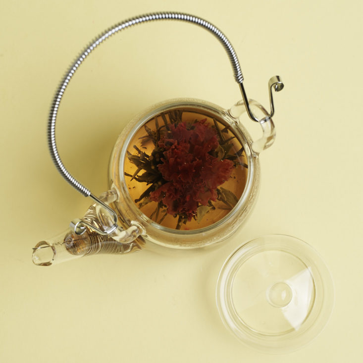 overhead view of lotus flowering tea ball in teapot