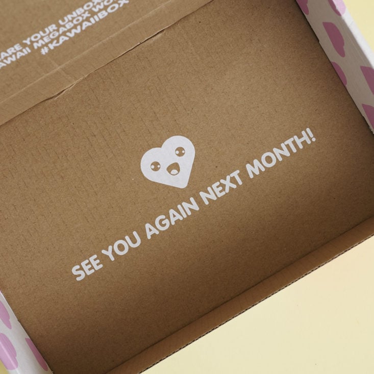 "see you again next month" on bottom of inside of kawaii box