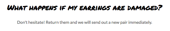 earfleek FAQ