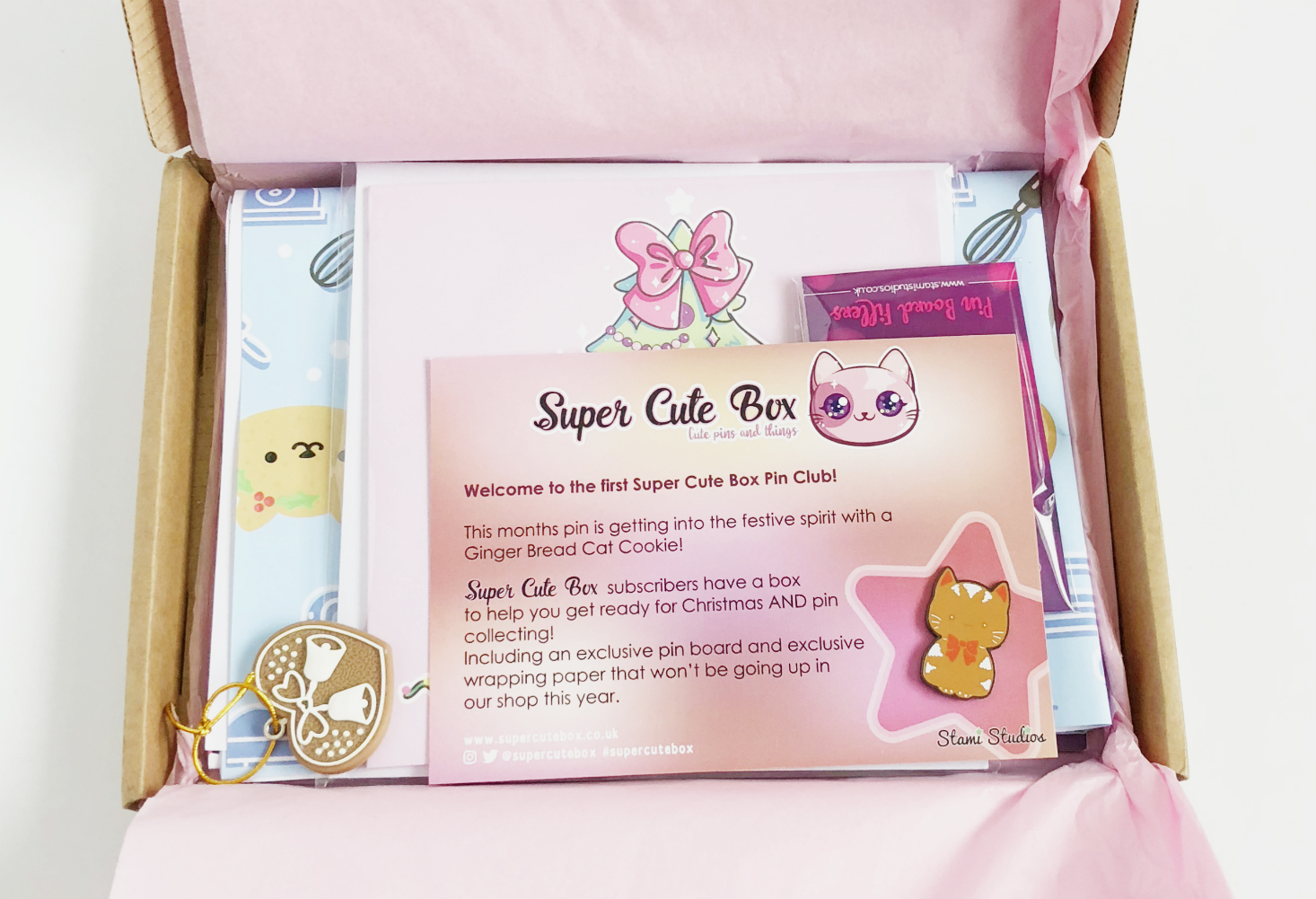 Super Cute Box Pin Club January 2018