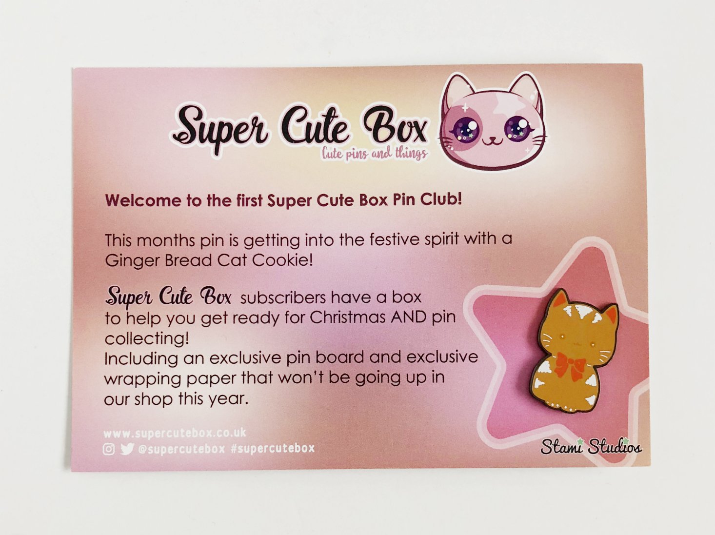 Super Cute Box Pin Club January 2018