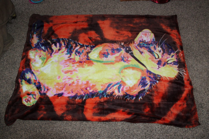 Fluffy Cat Art Blanket 