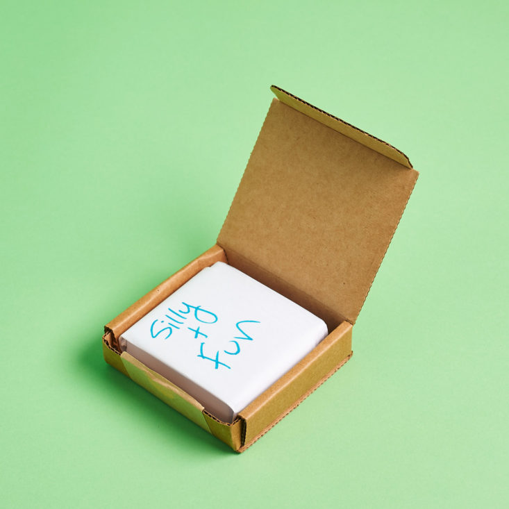 silly and fun package from earfleek premier tier