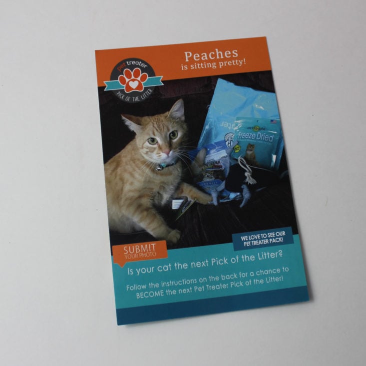 Pet Treater Cat Pack February 2018 Booklet Front