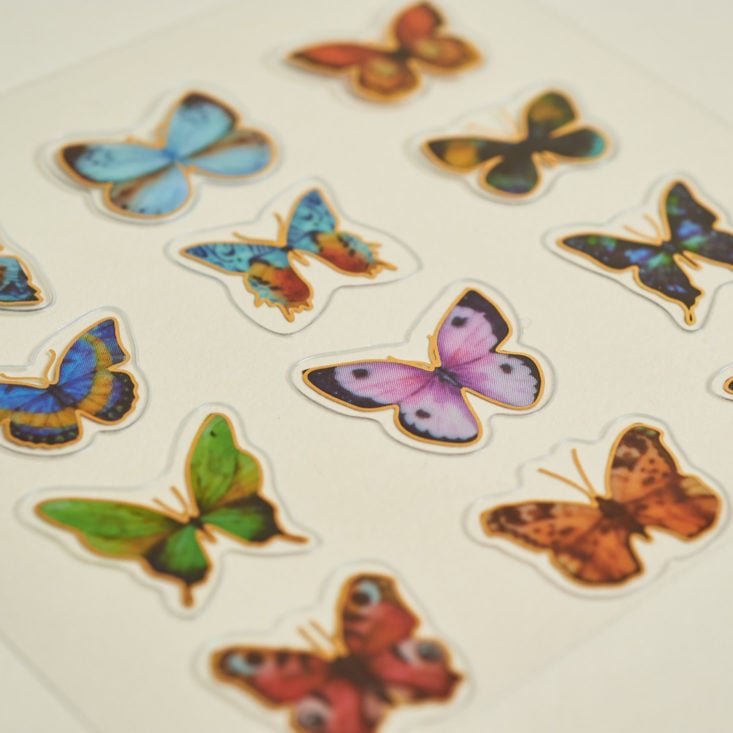 close up of colorful butterfly stickers