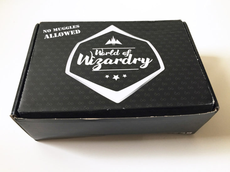 World of Wizardry January 2018 Box Itself