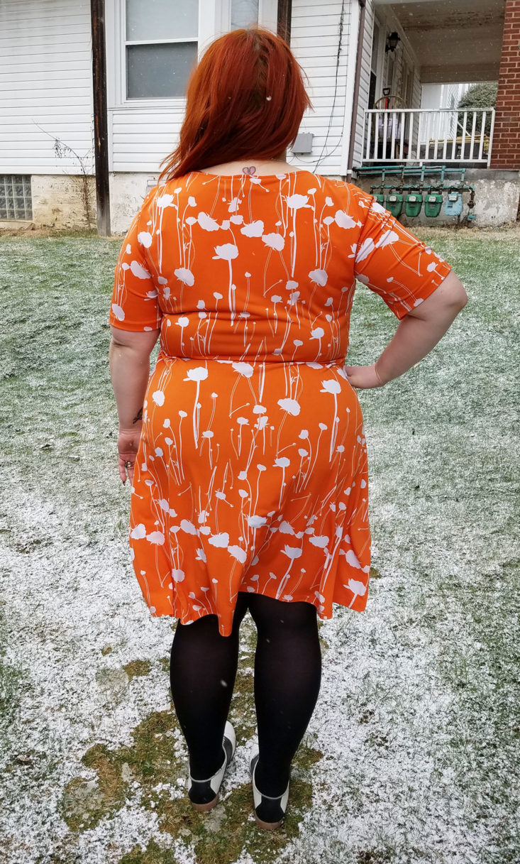 Gwynnie Bee Box March 2018 0006 - dress