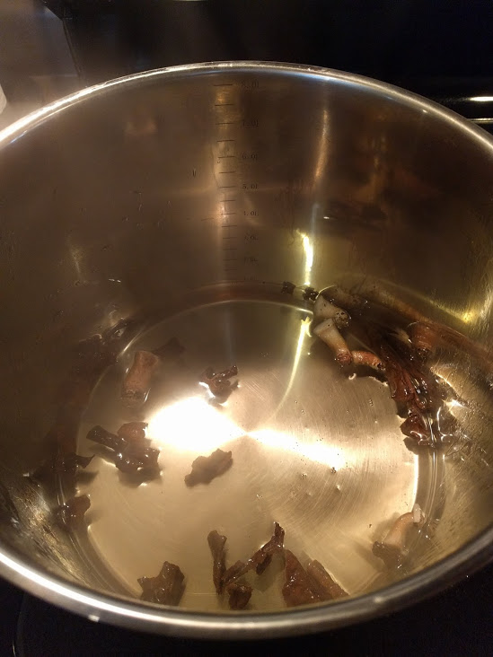 mushroom broth