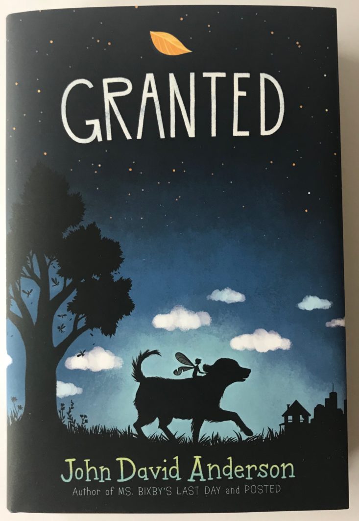 book cover of Granted by John David Anderson