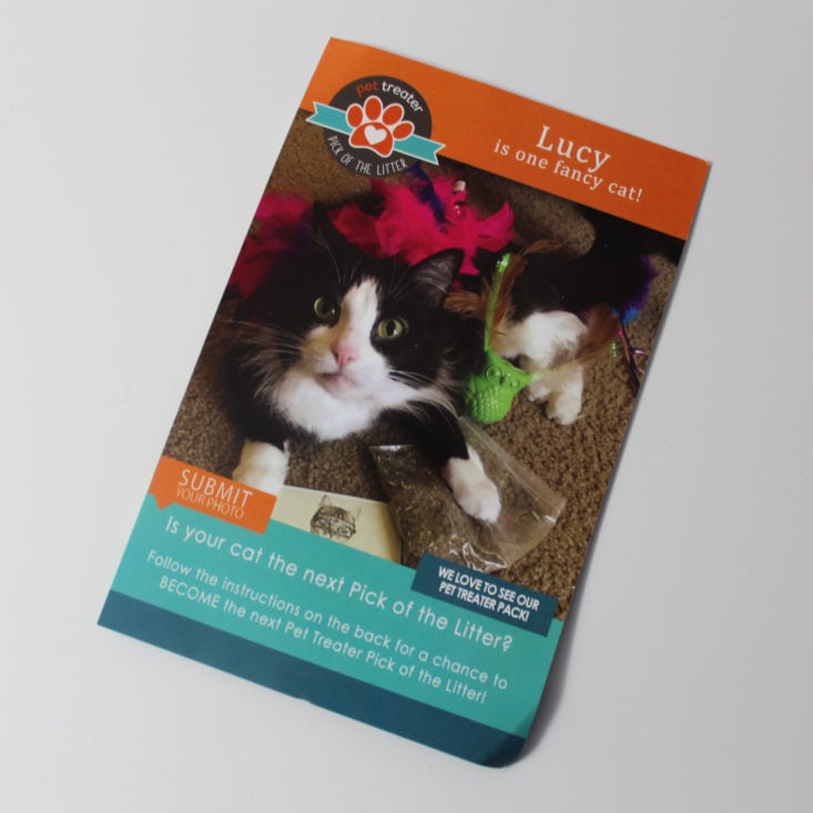 Pet Treater Cat Pack March 2018 Booklet Back