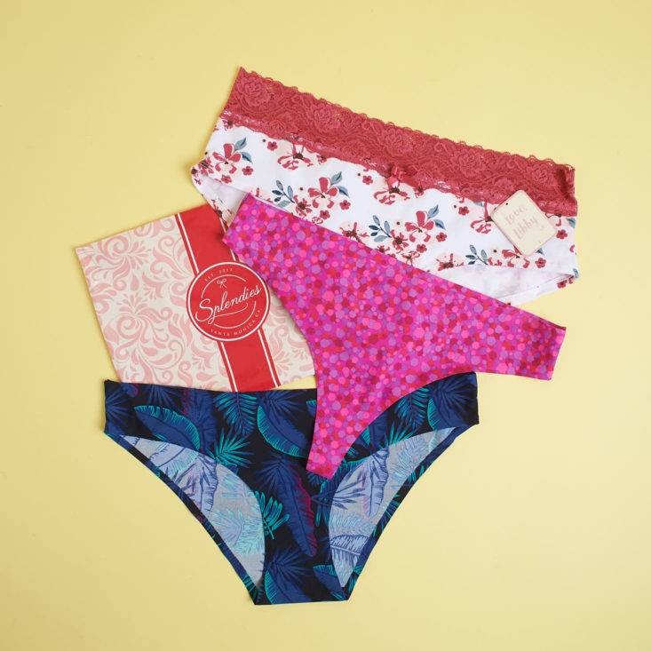 all pairs of panties in splendies march 2018 pack